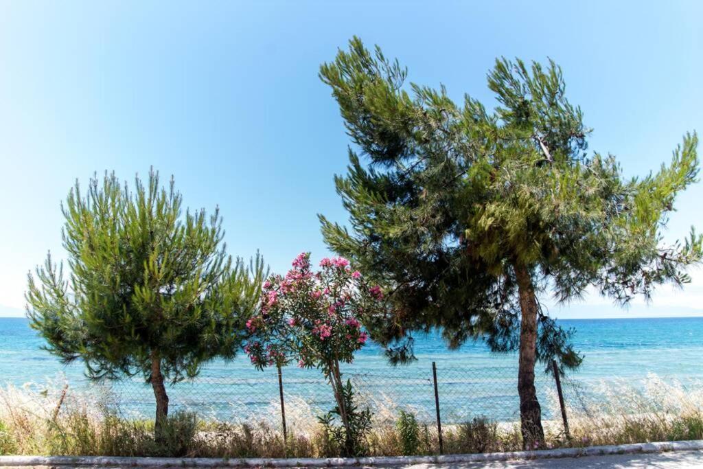 Seafront 2 Bedrooms Apartment Неа-Іраклія Екстер'єр фото