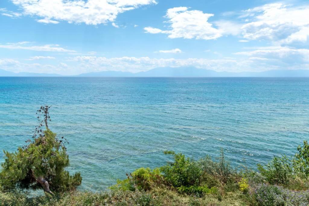 Seafront 2 Bedrooms Apartment Неа-Іраклія Екстер'єр фото